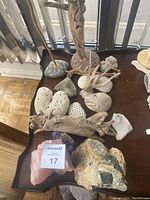 Various sea shells, driftwood pieces, rose quartz and mineral rocks arranged on wooden table