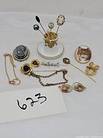 Full lot overview showing porcelain pin holder with floral gold pattern, assortment of stick pins with different heads including blue rhinestone, cameo, pearl, and black onyx style. Includes cameo brooch, cat portrait brooch, bracelet and earrings.