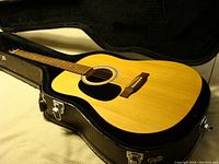Full body image of the Eleca acoustic guitar lying inside its hard carrying case, showing the natural wood finish and black pickguard.