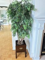 Full view of the Bombay wood pot with artificial Polyscias Fruticosa plant.