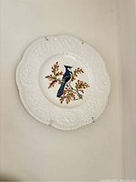 White embossed ironstone plate with Blue Jay bird illustration, mounted on wall