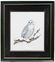 Framed snowy owl print by Christine Marshall showing full artwork and frame.