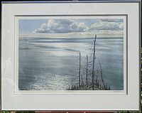 Front view of the framed Oswald Schenk limited edition print "Sun Kissed" outdoors.