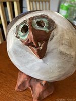 Close-up of bird's face detailing unique facial features including eye sockets and beak.