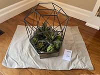 Full view of the geometric metal terrarium with artificial succulents and wooden base on a cloth.