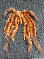 The full length of the mink stole laid out showing five pelts with attached heads, tails, and feet forming the wrap.