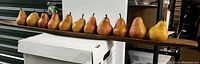 Side view of 11 decorative pears on wooden tray showing uniform arrangement and pear color variations from yellow to reddish-orange.