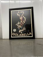 Framed Isolabella poster with a black background and collage design of bottles forming a figure, standing against a white wall.