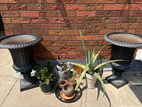 Wide view showing two large cast iron urn planters, six smaller pots in front including one white pot with aloe plant and several small leafy and succulent plants.