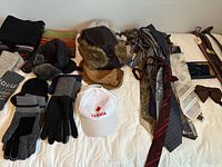 Full overview of the lot showing gloves, hats, ties, and scarves arranged on a white surface.