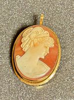 Front view of oval cameo showing detailed shell carving and gold frame