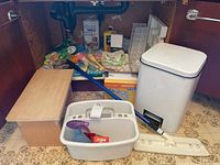 Overview of cabinet interior showing trash can, cleaning caddy with tools, ice cube trays, cutlery tray, gloves, and cleaning products