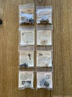 Six fossils in individual plastic bags with archaeological explanation cards placed on a wooden surface.