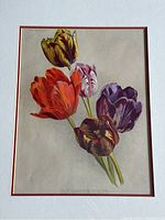 Close-up photo of the tulip print showing the multi-colored tulips and text "THE GARDEN" and "OLD GARDEN TULIPS".
