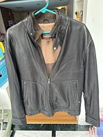 Front view of the Danier men's leather jacket showing zippered front, collar with snap button, two pockets, and leather texture.