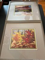 Top-down view of both framed Tom Thomson prints, Bateaux and Autumn Scene, laid out on flat surface showing frames, mats, and prints