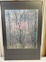 Full view of framed print showing the woodland photographic image within the black frame.
