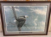 Framed print showing a bald eagle perched on a tree branch, foggy forest backdrop, with title plaque visible at bottom center of frame.