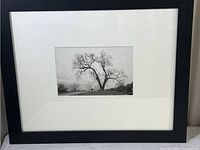 Framed photo showing full front view with white mat and black frame.