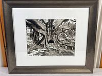 Full view of the framed print featuring a surreal tree and street scene, showing matting and metallic frame.
