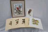Wooden framed cardinal art print and seven vintage bird prints laid out on white table with light grey backdrop.