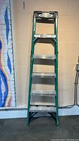 Image showing the full 6 foot Werner step ladder standing upright against a wall with a colorful mural segment nearby.
