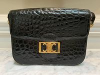 Front view showing crocodile pattern and gold double C clasp