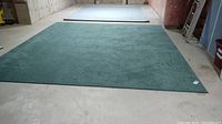 Green machine made rug spread flat on basement floor, showing size and texture.