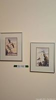 Two framed Sue Coleman prints hanging side by side on a wall, showing overall condition and size.