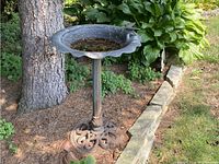 Full front view of bird bath in garden setting showing scalloped bowl and decorative base