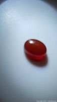 Oval cabochon fire red carnelian gemstone resting on a smooth flat white surface, showing translucency and glossy polished finish.