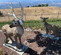 Wide shot of the buck and doe cement deer statues outdoors, showing overall condition and size relationship.