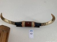 Front view showing entire mounted steer horns and wooden plaque.