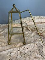 Glass display case with brass frame and open hinged door on lace background