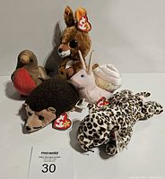 Front view showing five TY Beanie Baby animals arranged together with original TY tags visible