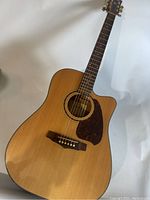 Full front view of Ibanez acoustic guitar showing body, neck and headstock with tuners.