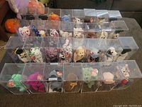 View of multiple Ty Beanie Babies neatly arranged in rows, each inside a clear display case.
