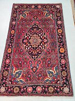 Full view of Persian wool rug showing central medallion and floral border design with vibrant colors.