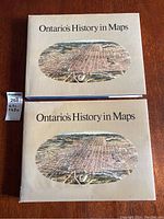 Two copies of the Ontario’s History in Maps large coffee table book with illustrated map on cover, laid on wood surface.