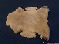 Full view of the natural sheepskin rug showing its cream woolly texture and irregular edges.