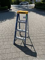 Full view of the blue Featherlite step ladder showing the front side and steps.