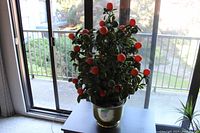 Full view of the artificial orange tree showing the entire tree with the brass pot at the base, positioned near a window for natural light.