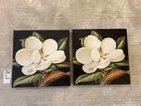 Two square stretched canvas artworks side by side showing white magnolia flowers and green leaves on black background.