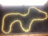 Gold plated rope chain necklace laid out in a black jewelry box, showing the full length and twisted rope design.