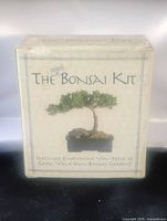 Front view of the Mini Bonsai Tree Kit box showing product name and claim of including everything needed to grow a bonsai garden.