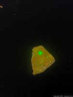 Orange fire opal gemstone illuminated to reveal its colorful play-of-color against a black background.