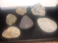 Overview of six mineral and stone specimens on black background showing color and size variations.