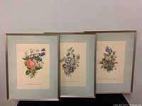 Three framed floral botanical prints displayed side by side showing dimensions and framing style.