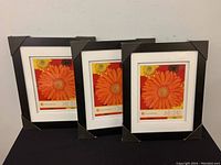 Three framed prints arranged side by side with protective corner covers, featuring orange gerbera daisy flowers on colorful backgrounds.