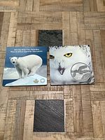 Two illustrated coin folders showing a polar bear on one and a snowy owl on the other, each folder displaying the respective silver coin.